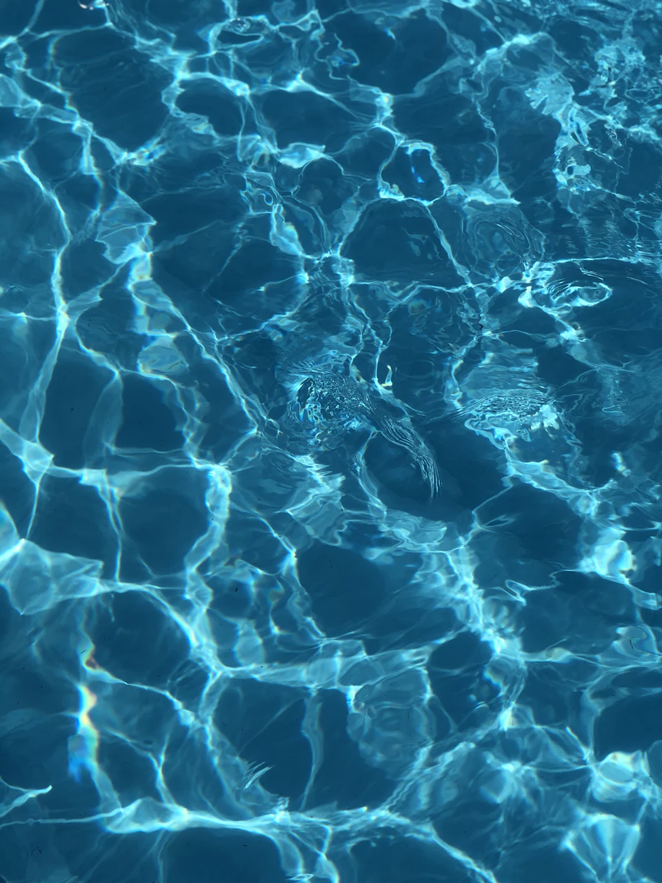 Blue ocean