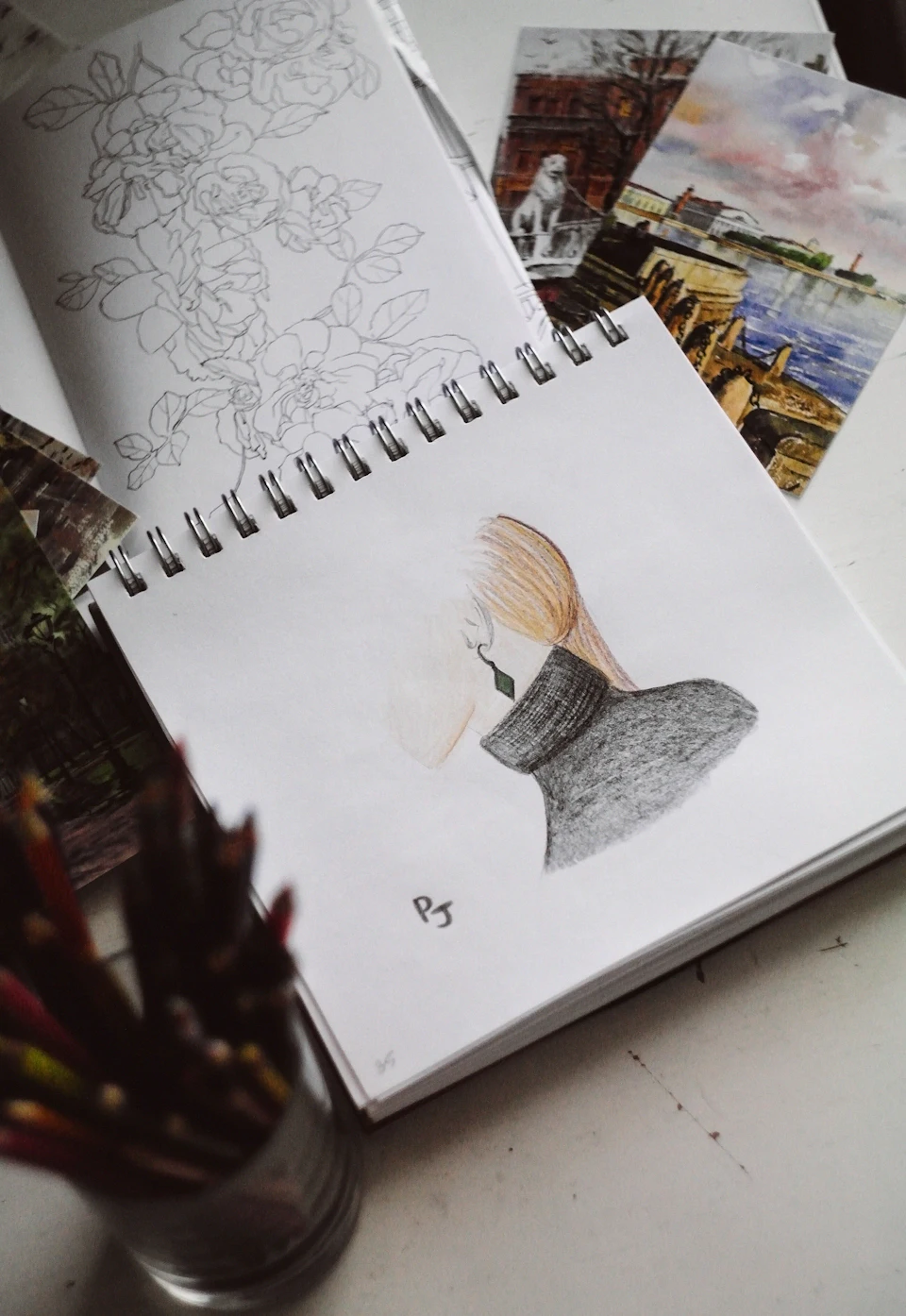 White and gray bird sketch