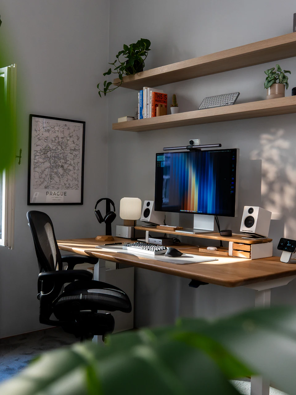 Modern home office desk setup with computer and plants